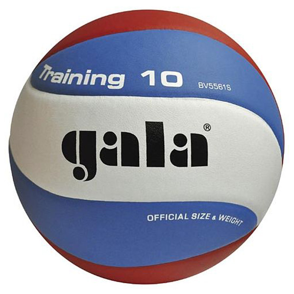 GALA BV5561S Training 10 volejbalový míč