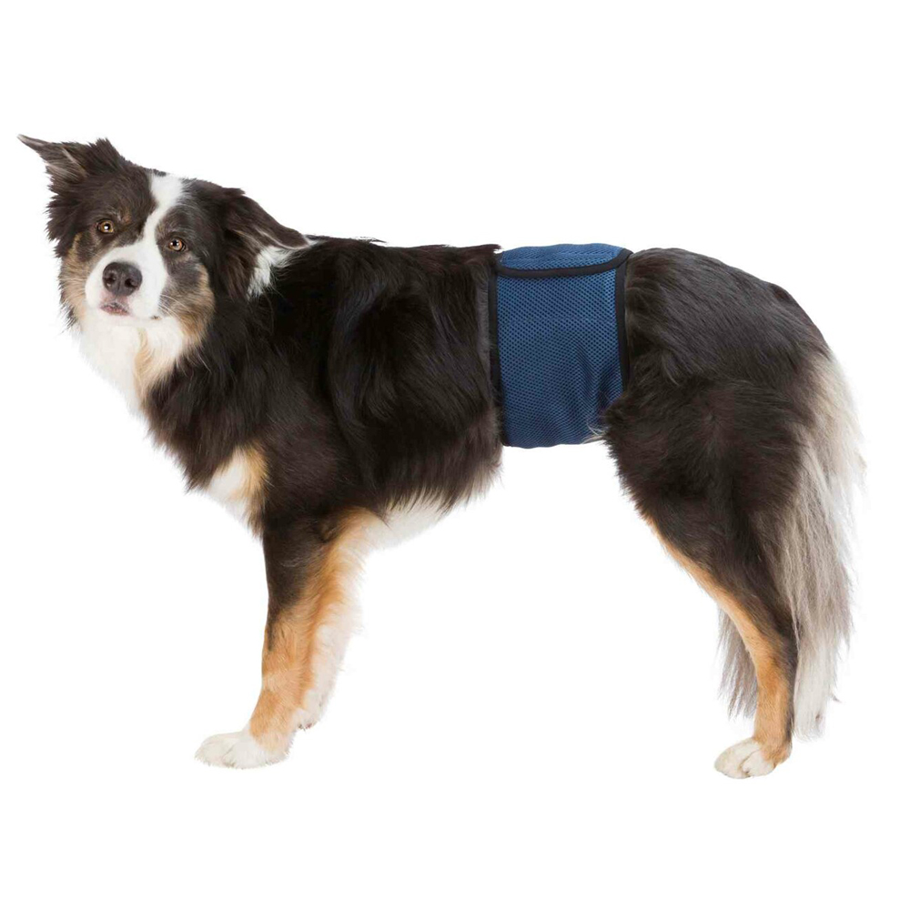 TRIXIE Břišní pás na podložky pro psa samce S 29-37 cm tmavě modrý