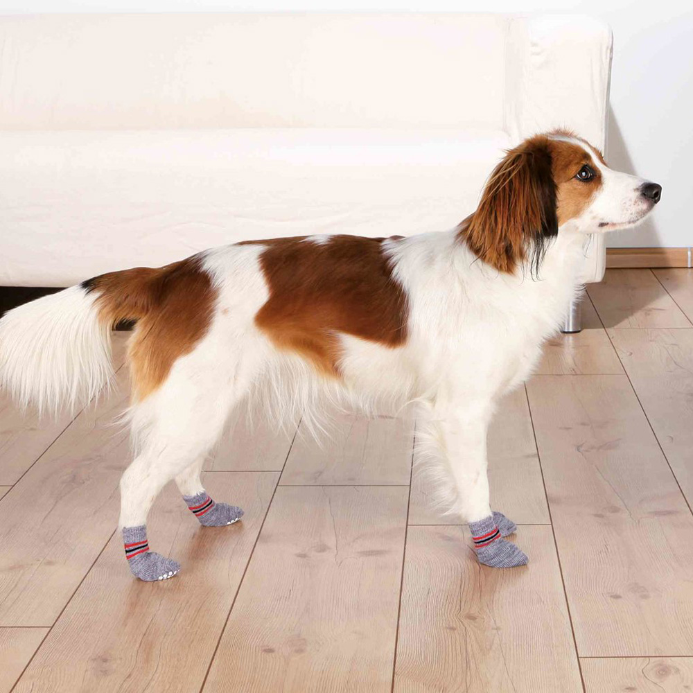 TRIXIE Protiskluzové šedé ponožky, 2 ks pro psy M-L (zl.retrívr)